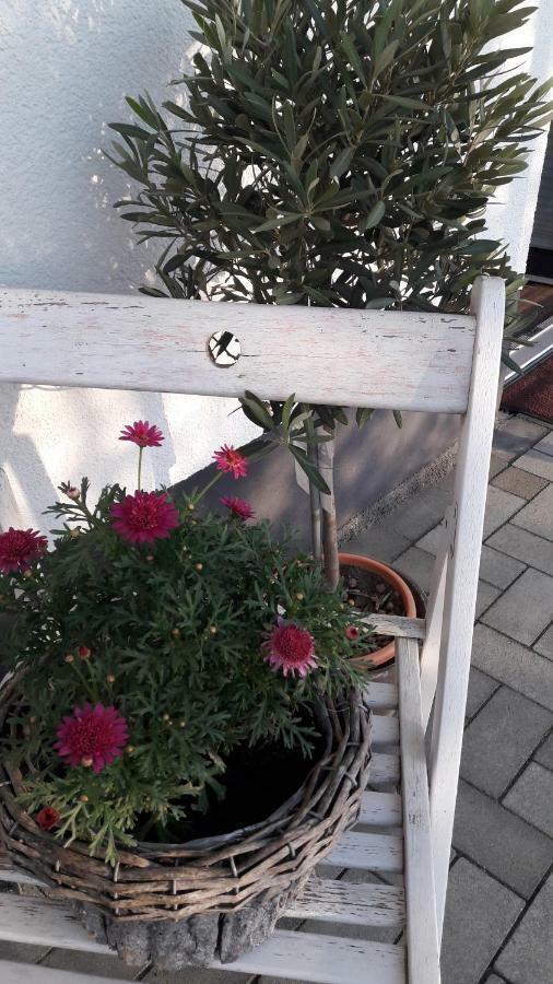 Ferienwohnung Sayntalblick Caan Екстериор снимка