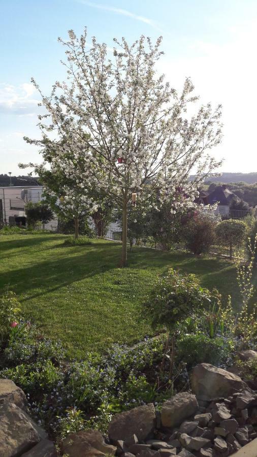 Ferienwohnung Sayntalblick Caan Екстериор снимка